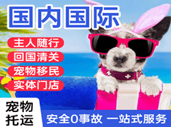 鞍山机场货运国际宠物托运 【国